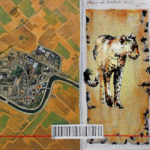 Story of the vanishing Wildlife - Cheetah